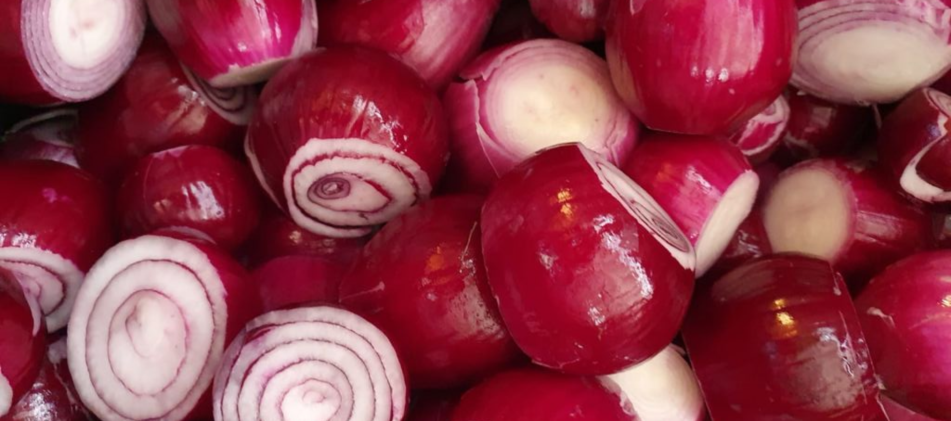 Red onion from polish supplier