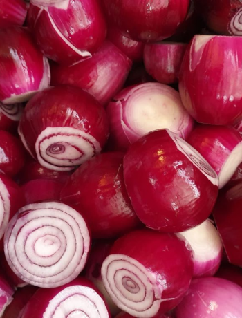Red onion from polish supplier